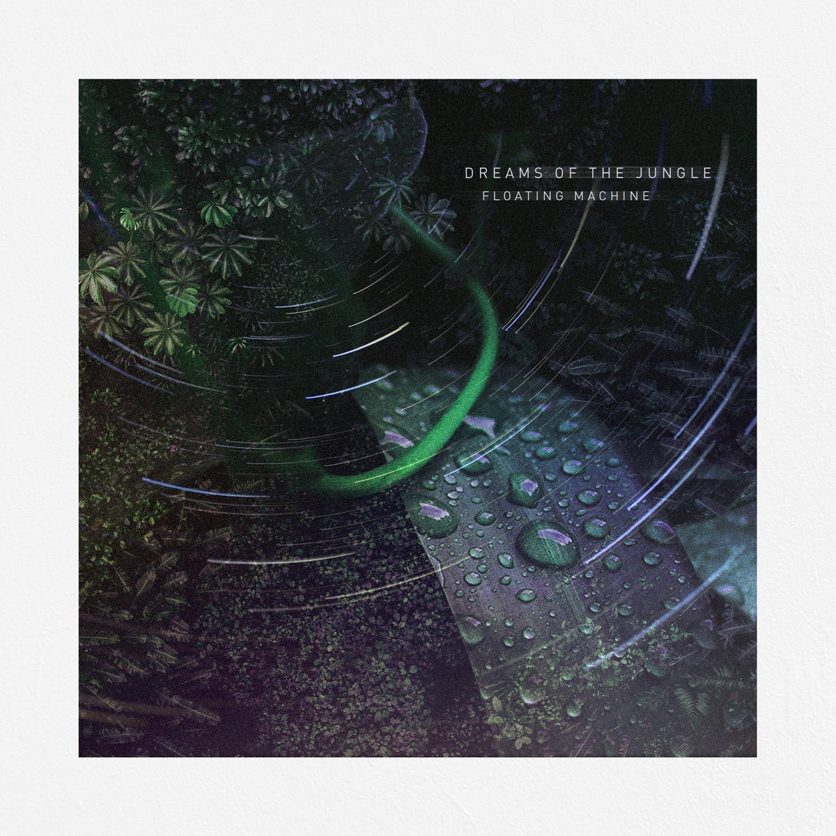 DREAMS OF THE JUNGLE album cover