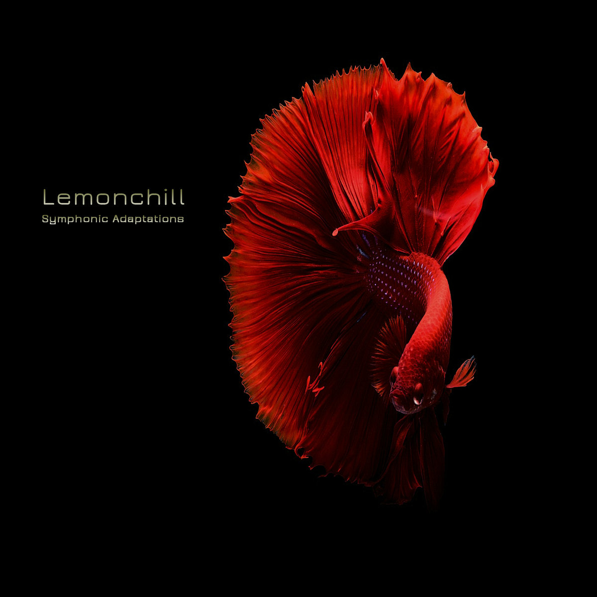 Symphonic Adaptations album cover