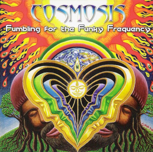Fumbling for the Funky Frequency album cover