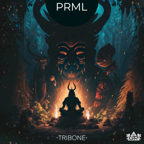 PRML album cover