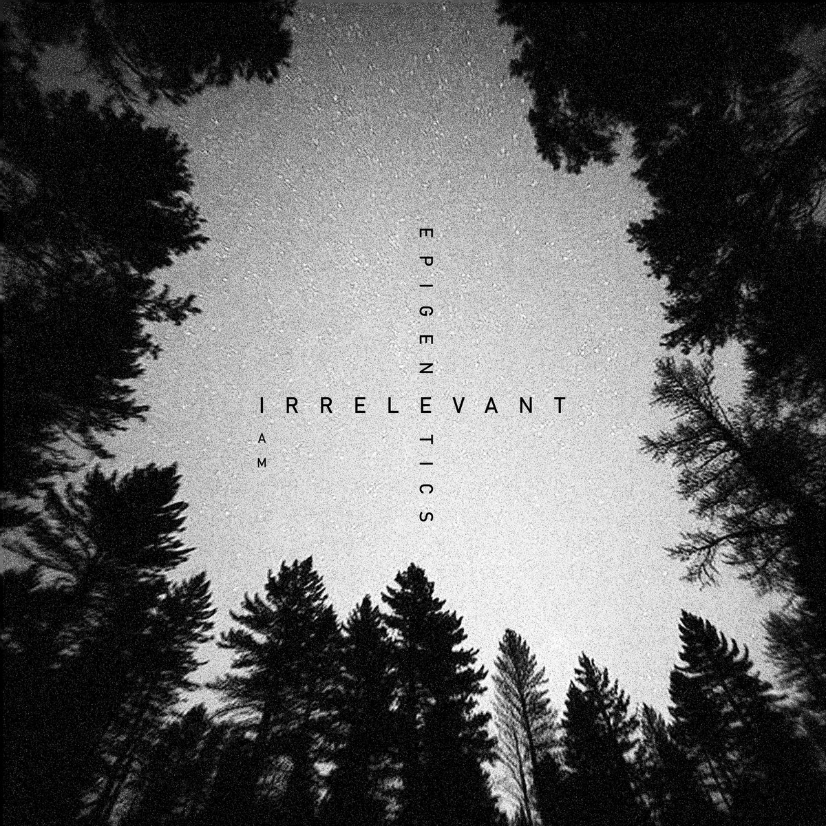 I Am Irrelevant album cover