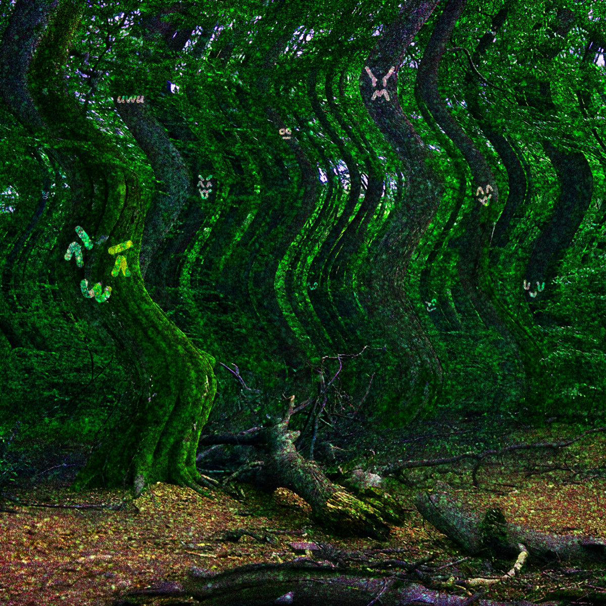Funky Forest album cover