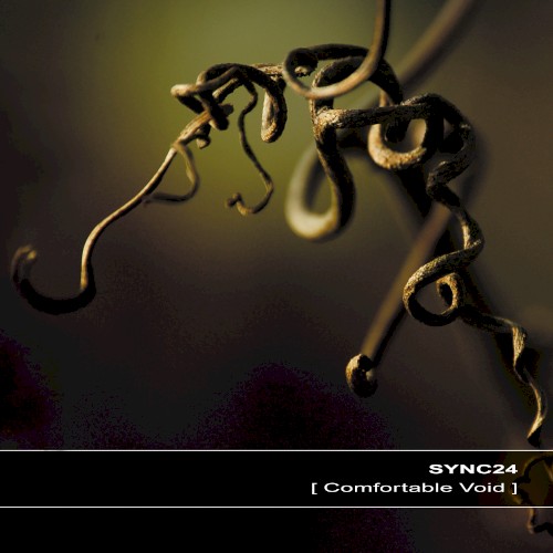 Comfortable Void album cover