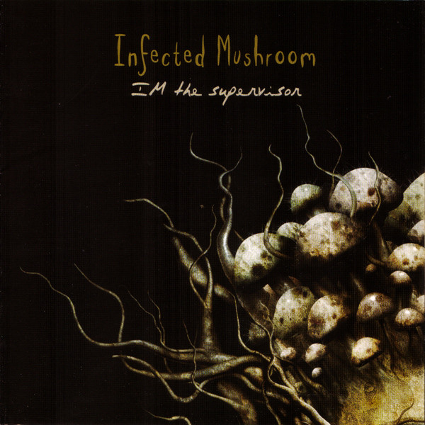 IM The Supervisor album cover