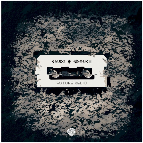 Future Relic album cover