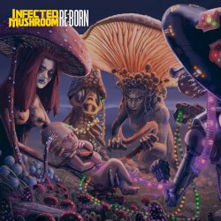 REBORN album cover