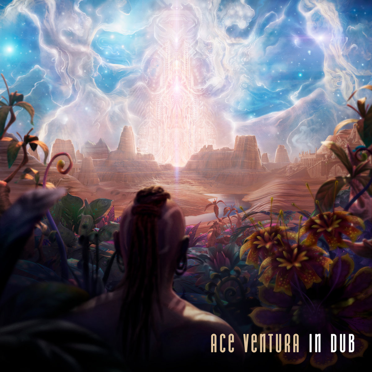 Ace Ventura in Dub album cover