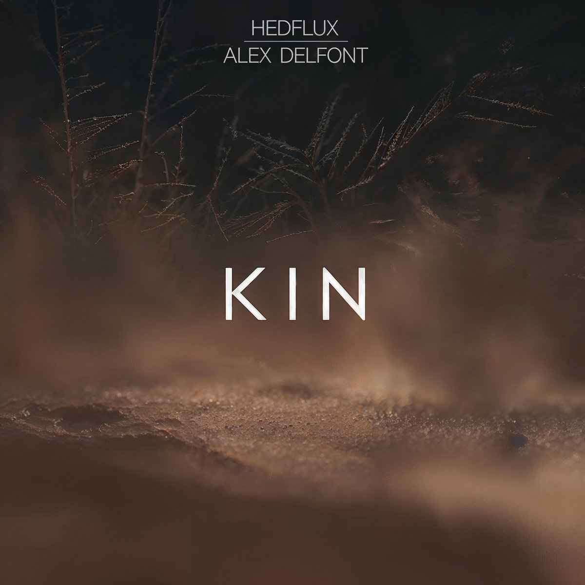 Kin album cover