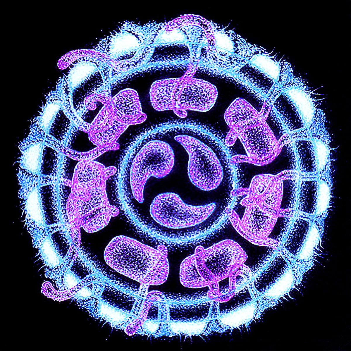 Theta Phase
