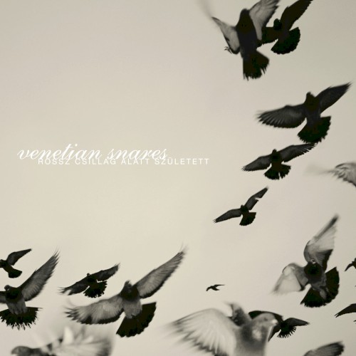 Venetian Snares